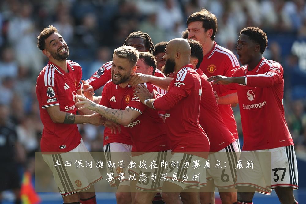 丰田保时捷勒芒激战在即耐力赛看点：最新赛事动态与深度分析